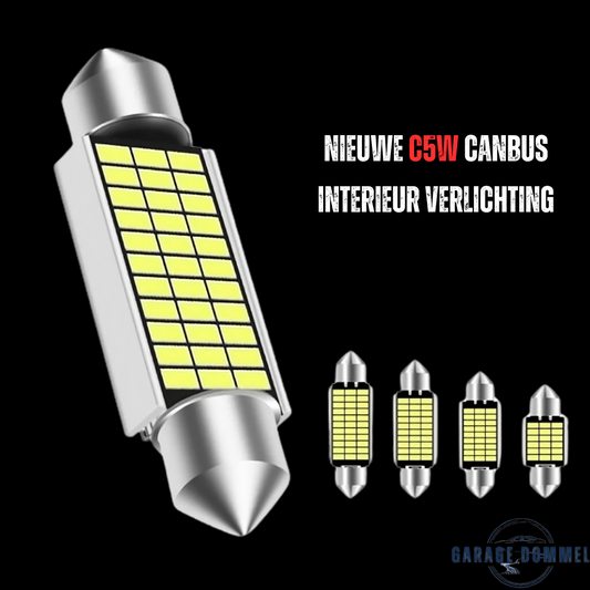 Indoor/License Plate Lights - C5W